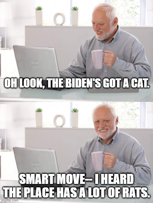 Cat in the WH | OH LOOK, THE BIDEN'S GOT A CAT. SMART MOVE-- I HEARD THE PLACE HAS A LOT OF RATS. | image tagged in old man cup of coffee | made w/ Imgflip meme maker