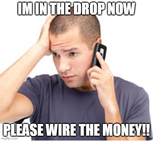 nft drop money | IM IN THE DROP NOW; PLEASE WIRE THE MONEY!! | image tagged in guy on phone | made w/ Imgflip meme maker