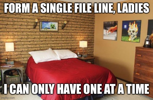 Minecraft bed | FORM A SINGLE FILE LINE, LADIES; I CAN ONLY HAVE ONE AT A TIME | image tagged in minecraft | made w/ Imgflip meme maker