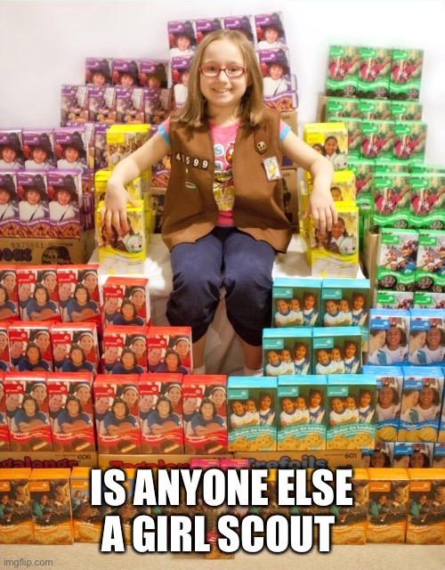 Girl Scout Cookies | IS ANYONE ELSE A GIRL SCOUT | image tagged in girl scout cookies | made w/ Imgflip meme maker