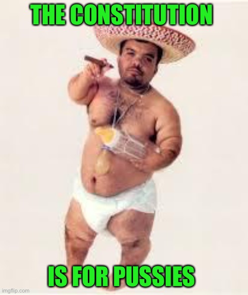 mexican dwarf | THE CONSTITUTION IS FOR PUSSIES | image tagged in mexican dwarf | made w/ Imgflip meme maker