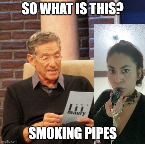 Smoking With Organic Pipes | SO WHAT IS THIS? SMOKING PIPES | image tagged in memes,maury lie detector | made w/ Imgflip meme maker