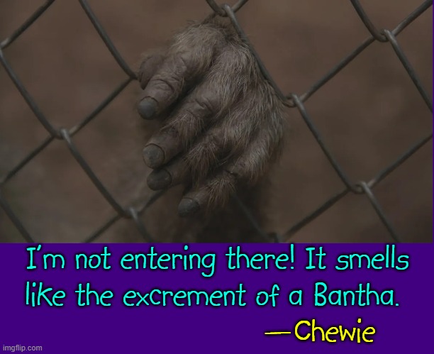 Wyaaaaaagr Grrr-ruh  Grwyaaaag Hruhhhhrrr | I'm not entering there! It smells
like the excrement of a Bantha. —Chewie | image tagged in vince vance,chewbacca,chewie,memes,star wars,quotes | made w/ Imgflip meme maker