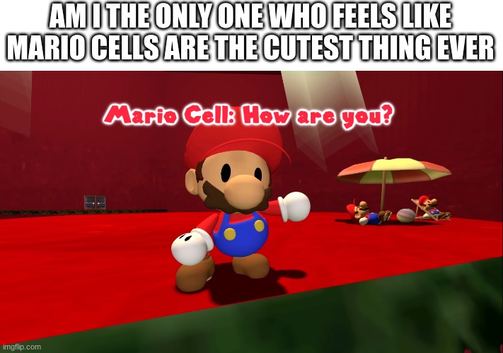 AM I THE ONLY ONE WHO FEELS LIKE MARIO CELLS ARE THE CUTEST THING EVER | image tagged in mario,cute,aww,so cute,adorable,smg4 | made w/ Imgflip meme maker