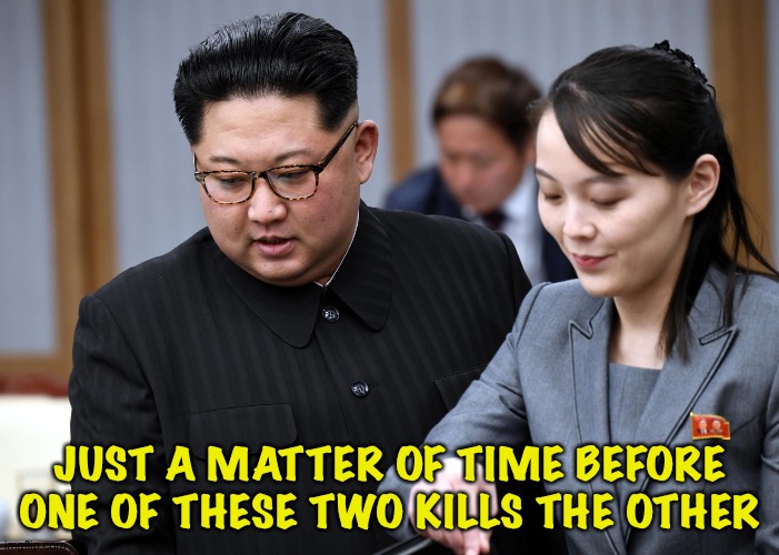 It's inevitable | JUST A MATTER OF TIME BEFORE ONE OF THESE TWO KILLS THE OTHER | image tagged in kim jong un and sister | made w/ Imgflip meme maker