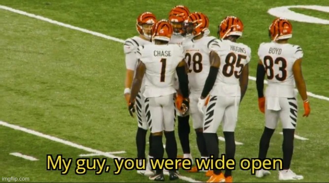 My guy, you were wide open | image tagged in my guy you were wide open | made w/ Imgflip meme maker