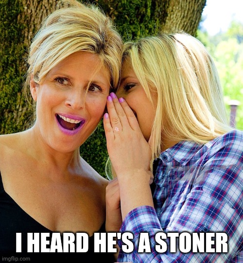 Mother And Daughter Share A Secret | I HEARD HE'S A STONER | image tagged in mother and daughter share a secret | made w/ Imgflip meme maker