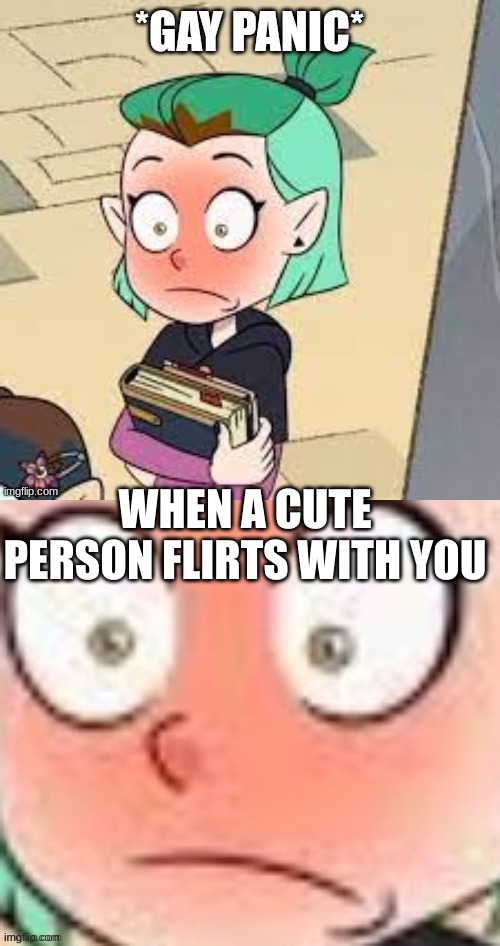 homo? | WHEN A CUTE PERSON FLIRTS WITH YOU | image tagged in homo | made w/ Imgflip meme maker