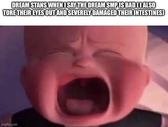 boss baby crying |  DREAM STANS WHEN I SAY THE DREAM SMP IS BAD ( I ALSO TORE THEIR EYES OUT AND SEVERELY DAMAGED THEIR INTESTINES) | image tagged in boss baby crying | made w/ Imgflip meme maker