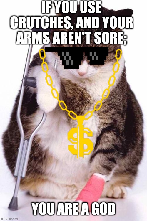 Crutch cat | IF YOU USE CRUTCHES, AND YOUR ARMS AREN'T SORE;; YOU ARE A GOD | image tagged in crutch cat | made w/ Imgflip meme maker