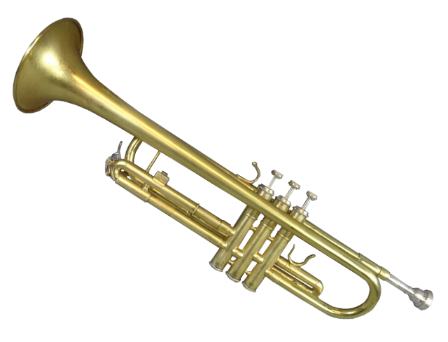 High Quality Trumpet Blank Meme Template
