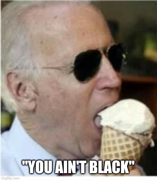 Joe Biden ice cream | "YOU AIN'T BLACK" | image tagged in joe biden ice cream | made w/ Imgflip meme maker