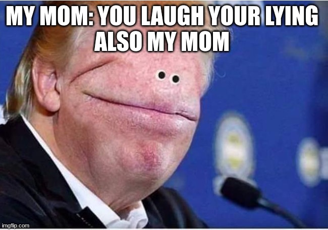 True anyone? | MY MOM: YOU LAUGH YOUR LYING 
ALSO MY MOM | image tagged in facts | made w/ Imgflip meme maker