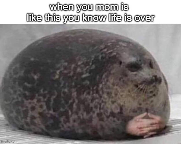 Fat seal with interlocked hands Imgflip