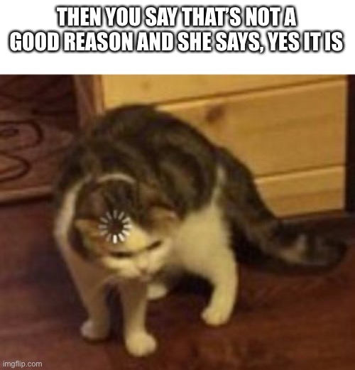 Loading cat | THEN YOU SAY THAT’S NOT A GOOD REASON AND SHE SAYS, YES IT IS | image tagged in loading cat | made w/ Imgflip meme maker
