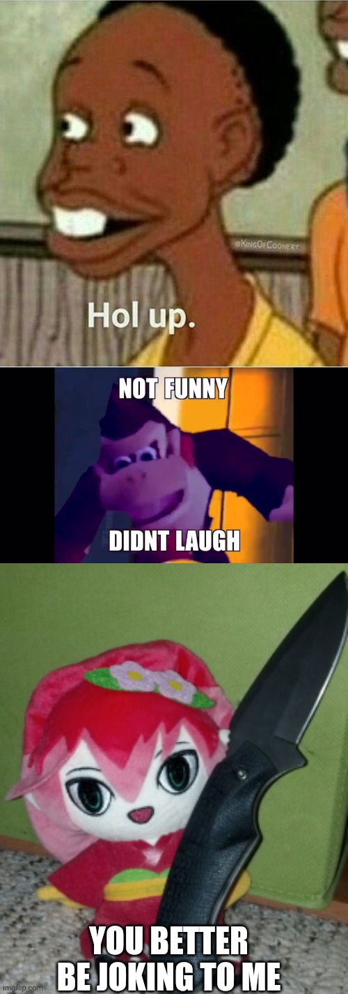 YOU BETTER BE JOKING TO ME | image tagged in hol up,not funny didn't laugh,knife camellia | made w/ Imgflip meme maker