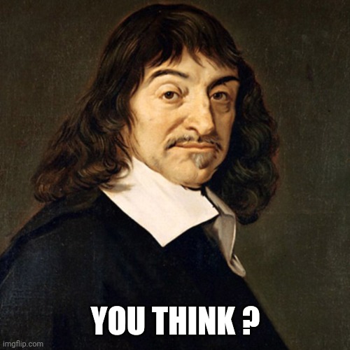 DESCARTES | YOU THINK ? | image tagged in descartes | made w/ Imgflip meme maker