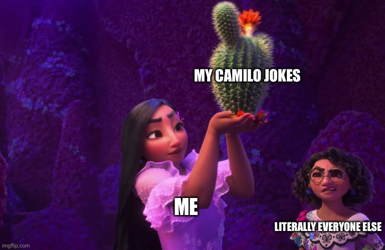 Mirabel and Isabella | MY CAMILO JOKES; ME; LITERALLY EVERYONE ELSE | image tagged in mirabel and isabella | made w/ Imgflip meme maker