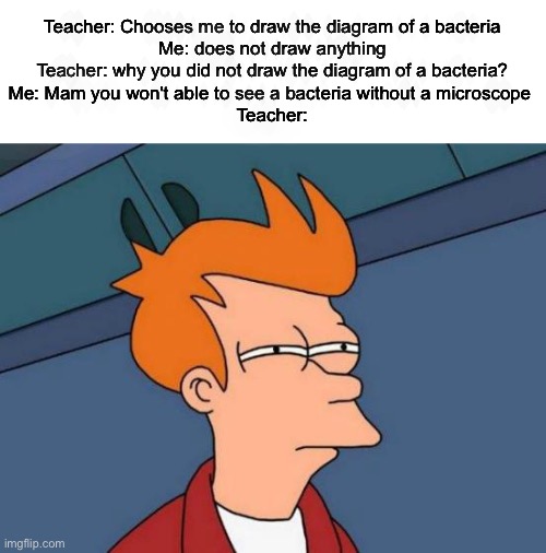 Futurama Fry | Teacher: Chooses me to draw the diagram of a bacteria
Me: does not draw anything
Teacher: why you did not draw the diagram of a bacteria?
Me: Mam you won't able to see a bacteria without a microscope 
Teacher: | image tagged in memes,futurama fry | made w/ Imgflip meme maker