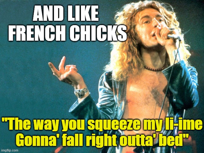 robert plant | AND LIKE 
FRENCH CHICKS "The way you squeeze my li-ime
Gonna' fall right outta' bed" | image tagged in robert plant | made w/ Imgflip meme maker