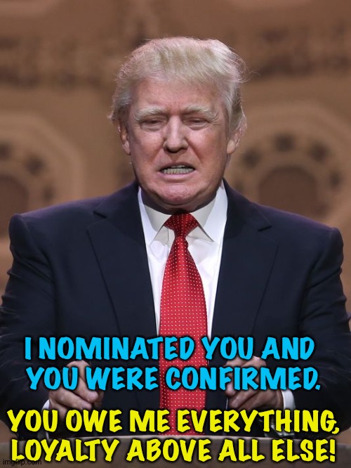Donald Trump | I NOMINATED YOU AND 
YOU WERE CONFIRMED. YOU OWE ME EVERYTHING,
LOYALTY ABOVE ALL ELSE! | image tagged in donald trump | made w/ Imgflip meme maker