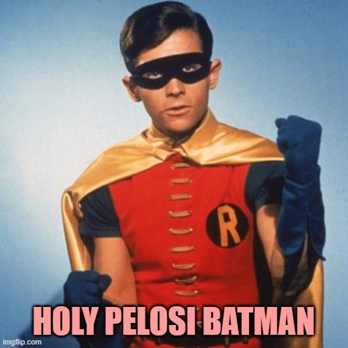 Robin | HOLY PELOSI BATMAN | image tagged in robin | made w/ Imgflip meme maker