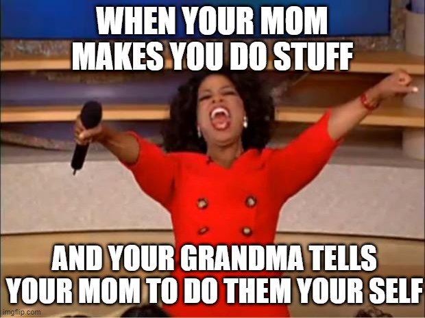 yo every grandma | WHEN YOUR MOM MAKES YOU DO STUFF; AND YOUR GRANDMA TELLS YOUR MOM TO DO THEM YOUR SELF | image tagged in memes,oprah you get a | made w/ Imgflip meme maker