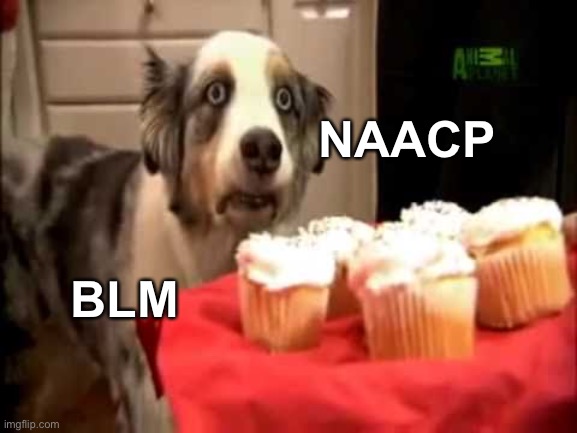 Muffin Dog PTSD | NAACP BLM | image tagged in muffin dog ptsd | made w/ Imgflip meme maker