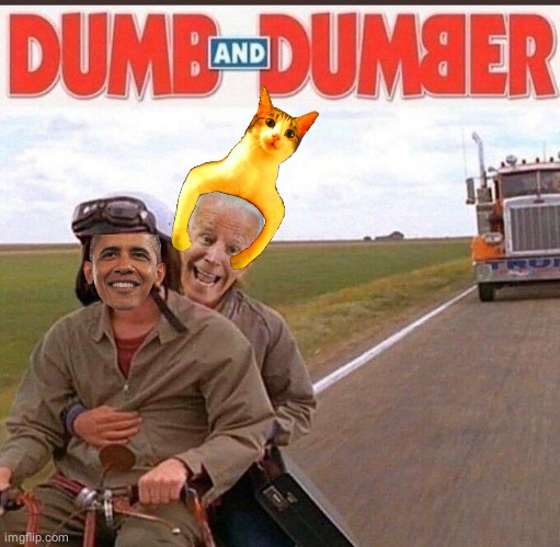 Barry & Joe Dumb and Dumber | image tagged in raycat | made w/ Imgflip meme maker