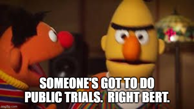 Bert and Ernie  | SOMEONE'S GOT TO DO PUBLIC TRIALS.  RIGHT BERT. | image tagged in bert and ernie | made w/ Imgflip meme maker