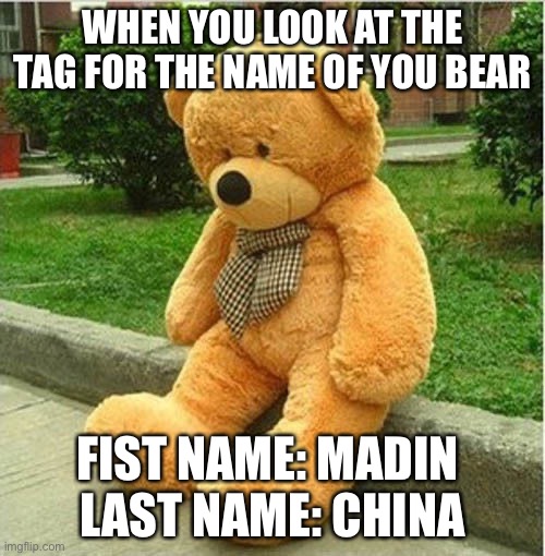Teddy stupid | WHEN YOU LOOK AT THE TAG FOR THE NAME OF YOU BEAR; FIST NAME: MADIN 
LAST NAME: CHINA | image tagged in teddy bear,tag | made w/ Imgflip meme maker