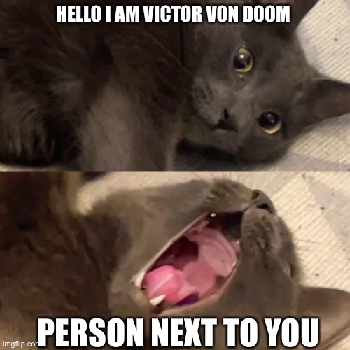 Victor von doom | HELLO I AM VICTOR VON DOOM; PERSON NEXT TO YOU | image tagged in grey cat screaming,fantastic 4 | made w/ Imgflip meme maker