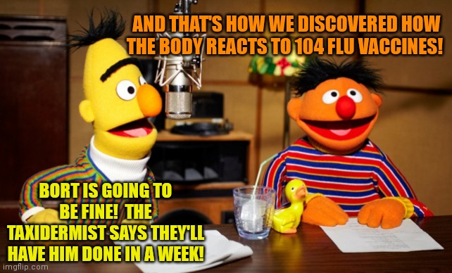 Bert And Ernie Radio | AND THAT'S HOW WE DISCOVERED HOW THE BODY REACTS TO 104 FLU VACCINES! BORT IS GOING TO BE FINE!  THE TAXIDERMIST SAYS THEY'LL HAVE HIM DONE  | image tagged in bert and ernie radio | made w/ Imgflip meme maker