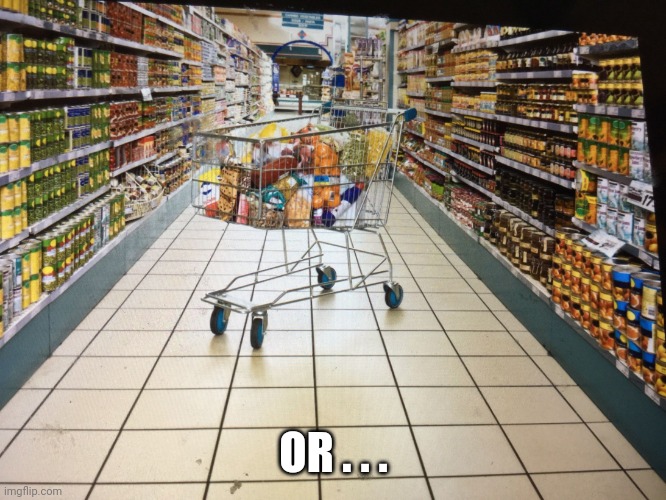 Grocery cart in aisle | OR . . . | image tagged in grocery cart in aisle | made w/ Imgflip meme maker