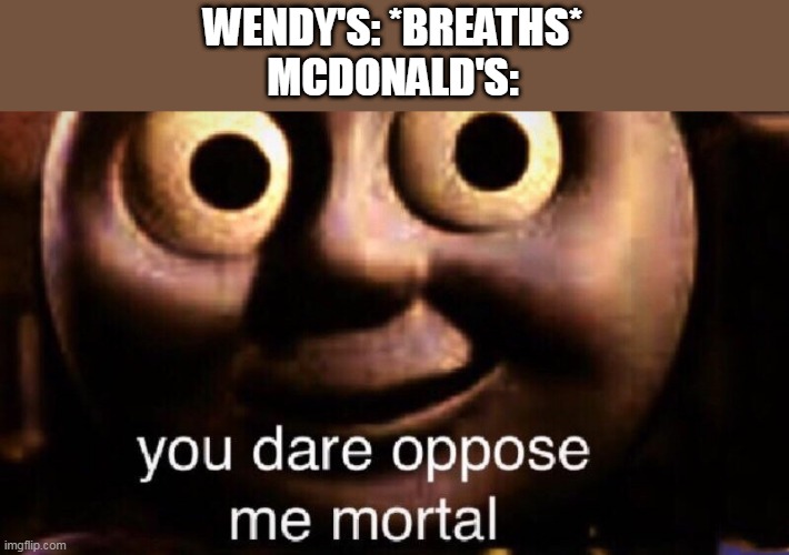 You dare oppose me mortal | WENDY'S: *BREATHS*
MCDONALD'S: | image tagged in you dare oppose me mortal | made w/ Imgflip meme maker