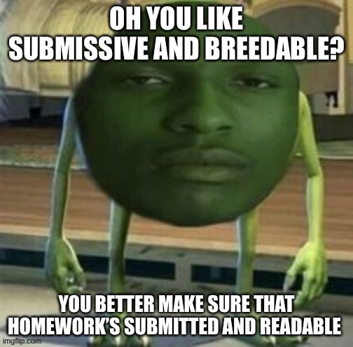 IDEFK | OH YOU LIKE SUBMISSIVE AND BREEDABLE? YOU BETTER MAKE SURE THAT HOMEWORK’S SUBMITTED AND READABLE | image tagged in mike wazowski bruh | made w/ Imgflip meme maker