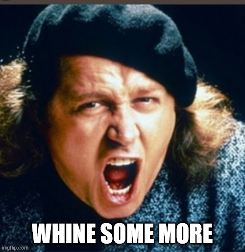 WHINE SOME MORE | made w/ Imgflip meme maker
