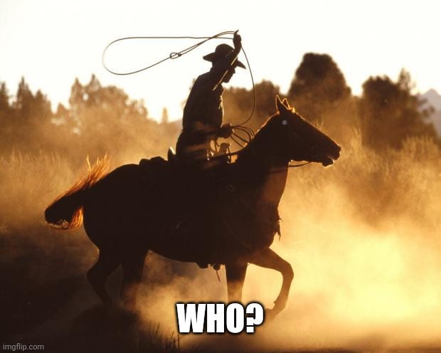 Cowboy lasso | WHO? | image tagged in cowboy lasso | made w/ Imgflip meme maker