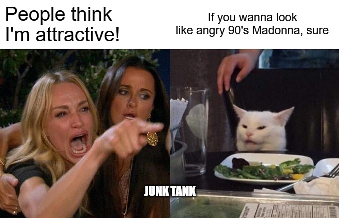 Angry Madonna |  People think I'm attractive! If you wanna look like angry 90's Madonna, sure; JUNK TANK | image tagged in memes,woman yelling at cat,angry,madonna,90s,cat | made w/ Imgflip meme maker