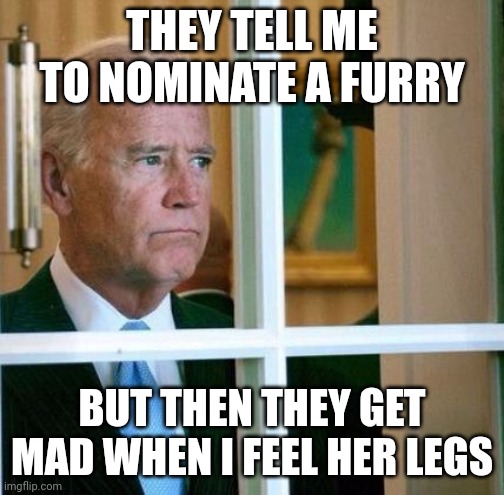 Sad Joe Biden | THEY TELL ME TO NOMINATE A FURRY BUT THEN THEY GET MAD WHEN I FEEL HER LEGS | image tagged in sad joe biden | made w/ Imgflip meme maker