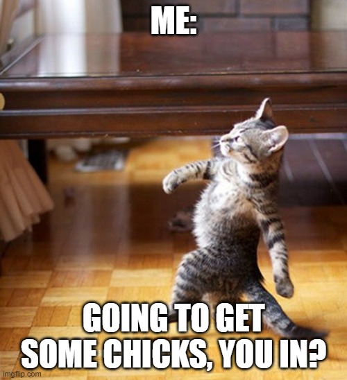 Giga chad cat | ME:; GOING TO GET SOME CHICKS, YOU IN? | image tagged in cat walking like a boss | made w/ Imgflip meme maker
