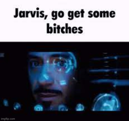 jarvis, go get some bitches | image tagged in jarvis go get some bitches | made w/ Imgflip meme maker