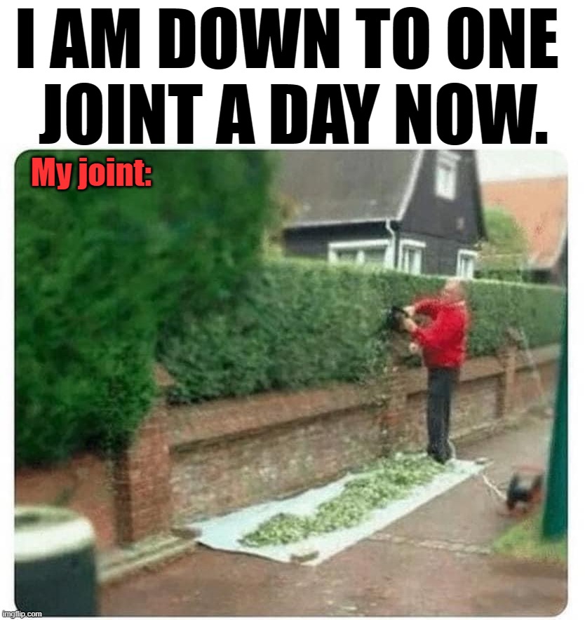 Ain't lyin' | I AM DOWN TO ONE 
JOINT A DAY NOW. My joint: | image tagged in marijuana,joint | made w/ Imgflip meme maker