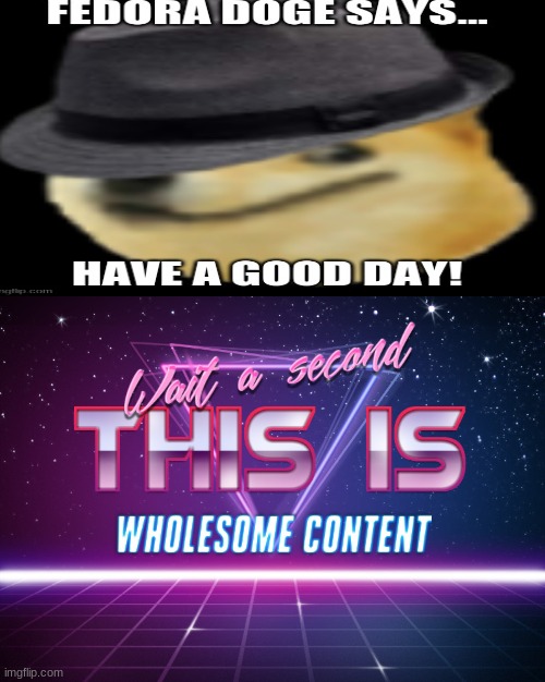 Have a good day with a doge | image tagged in wait a second this is wholesome content,fedora doge | made w/ Imgflip meme maker