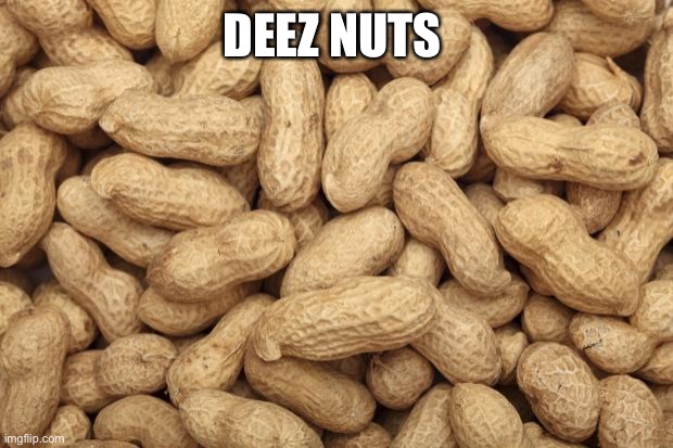 Deez Nuts | DEEZ NUTS | image tagged in deez nuts | made w/ Imgflip meme maker