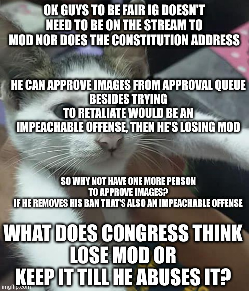 might as well keep it democratic (F1 Note: I am the solution) | OK GUYS TO BE FAIR IG DOESN'T NEED TO BE ON THE STREAM TO MOD NOR DOES THE CONSTITUTION ADDRESS; HE CAN APPROVE IMAGES FROM APPROVAL QUEUE
BESIDES TRYING TO RETALIATE WOULD BE AN IMPEACHABLE OFFENSE, THEN HE'S LOSING MOD; SO WHY NOT HAVE ONE MORE PERSON TO APPROVE IMAGES?
IF HE REMOVES HIS BAN THAT'S ALSO AN IMPEACHABLE OFFENSE; WHAT DOES CONGRESS THINK
LOSE MOD OR KEEP IT TILL HE ABUSES IT? | image tagged in fafa | made w/ Imgflip meme maker