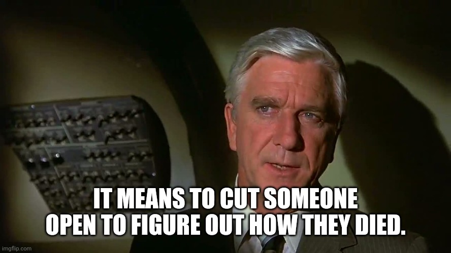 Airplane! | IT MEANS TO CUT SOMEONE OPEN TO FIGURE OUT HOW THEY DIED. | image tagged in airplane | made w/ Imgflip meme maker