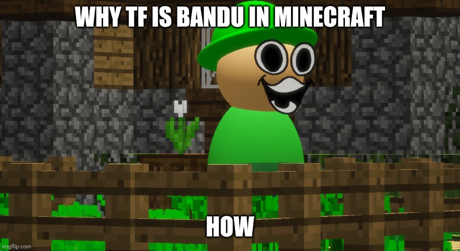 No words |  WHY TF IS BANDU IN MINECRAFT; HOW | image tagged in bandu | made w/ Imgflip meme maker