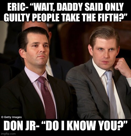 Donald Jr. and Eric Trump | ERIC- “WAIT, DADDY SAID ONLY GUILTY PEOPLE TAKE THE FIFTH?”; DON JR- “DO I KNOW YOU?” | image tagged in donald jr and eric trump | made w/ Imgflip meme maker