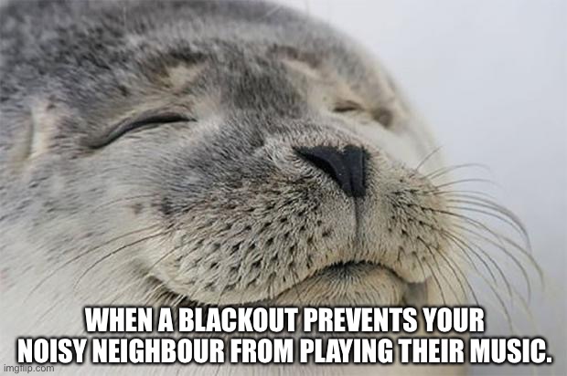 Satisfied Seal | WHEN A BLACKOUT PREVENTS YOUR NOISY NEIGHBOUR FROM PLAYING THEIR MUSIC. | image tagged in memes,satisfied seal | made w/ Imgflip meme maker